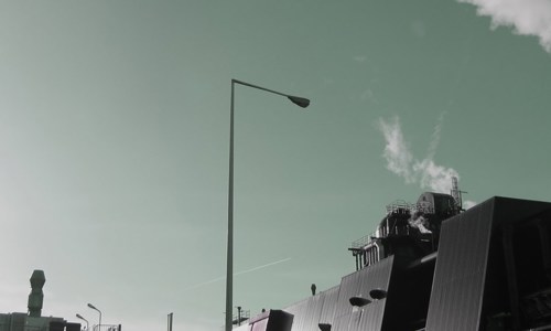 How to make your company CO2-neutral